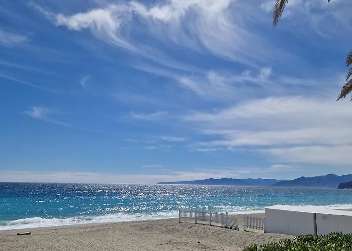 Tropical Garden - Full Floor