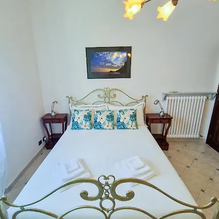 Tropical Garden - Full Floor