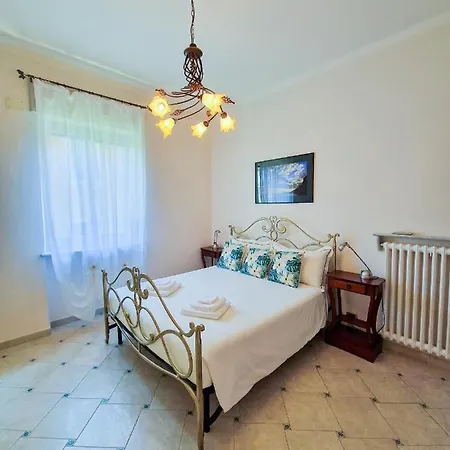 Tropical Garden - Full Floor *