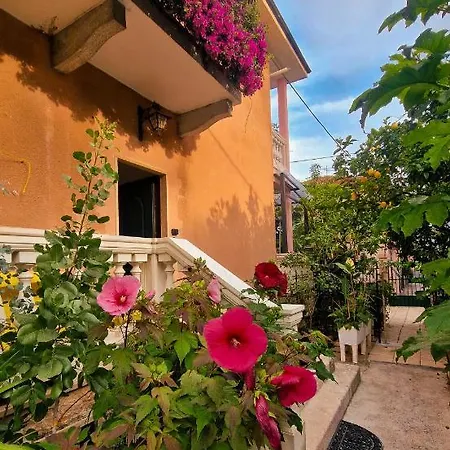Tropical Garden - Full Floor *