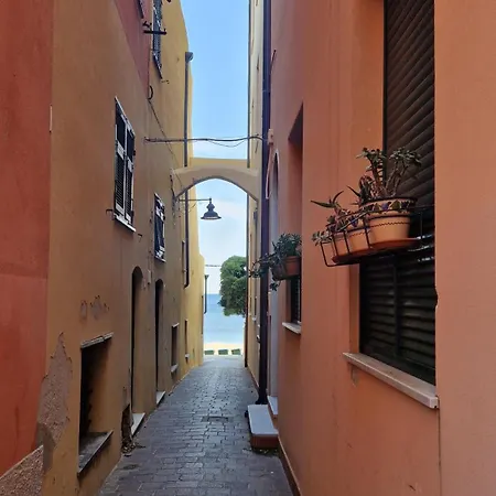 Tropical Garden - Full Floor Varigotti